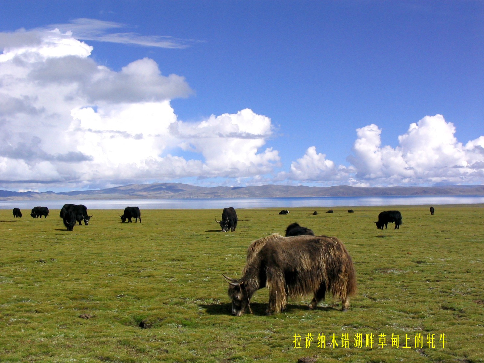 神州大地指的是什么